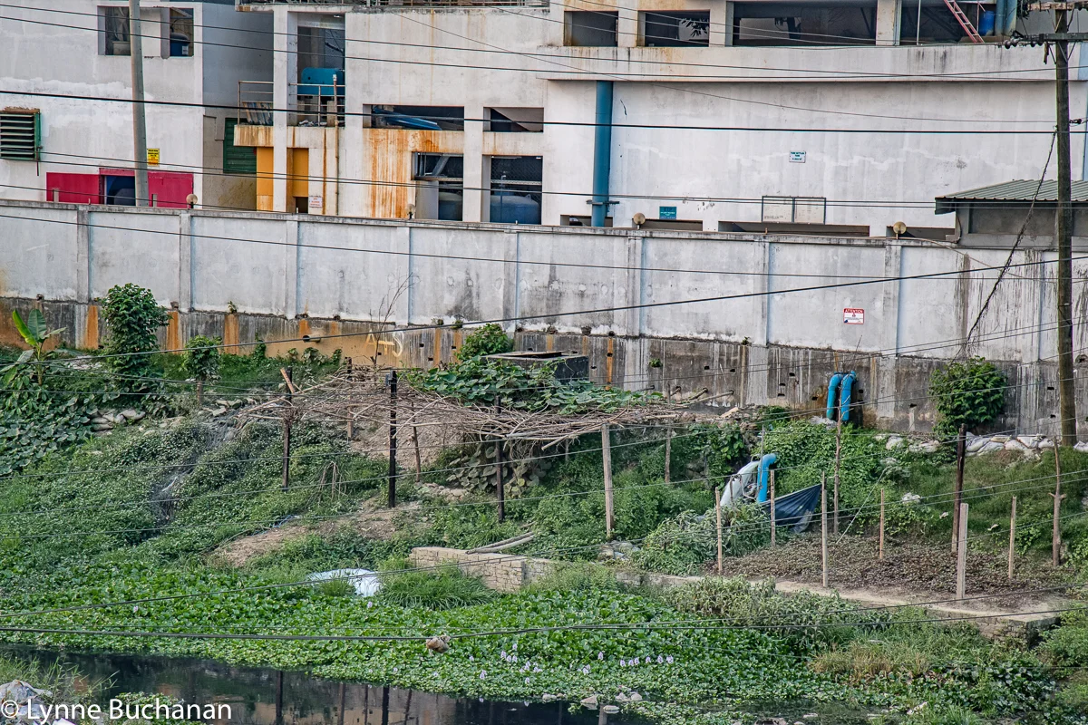 Textile Industry Effluent Discharged Directly into a Creek0359.jpg