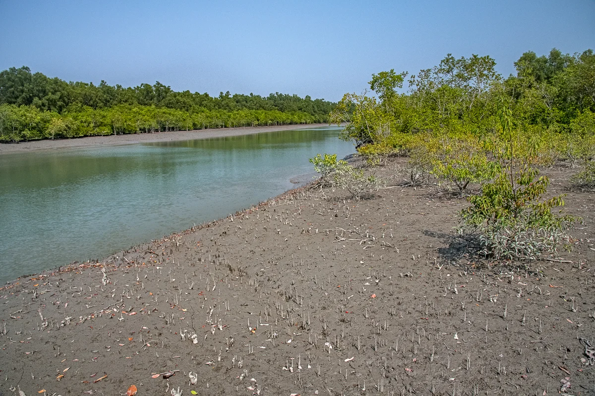A Stream in the UNESCO World Heritage Site at Low Levels Near the End of the Winter Dry Period