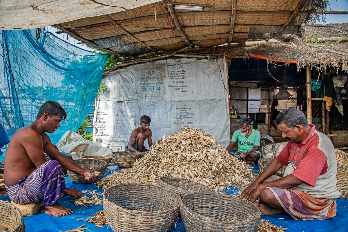 Sorting the Small Fish for Chapa Shutki
