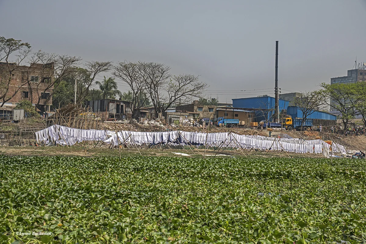 Textile Industry with Water Hyacinths Proliferating from Untreated Waste