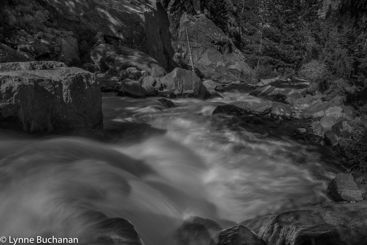 Eldorado Canyon Boulder Creek's Mystical Waters in Dappled Light Multi Layer Processing