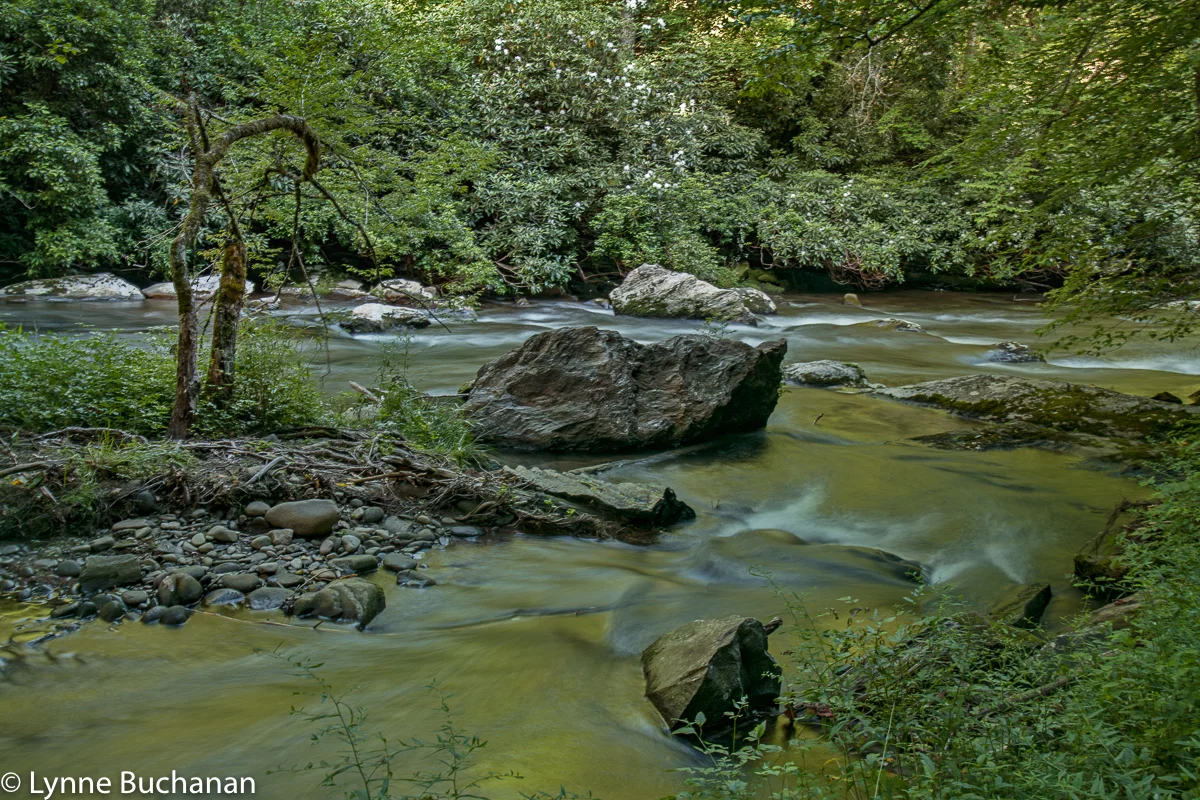 Deep Creek Riparian Landscape