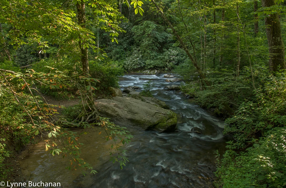 Confluence of Indian Creek and Deep Creek