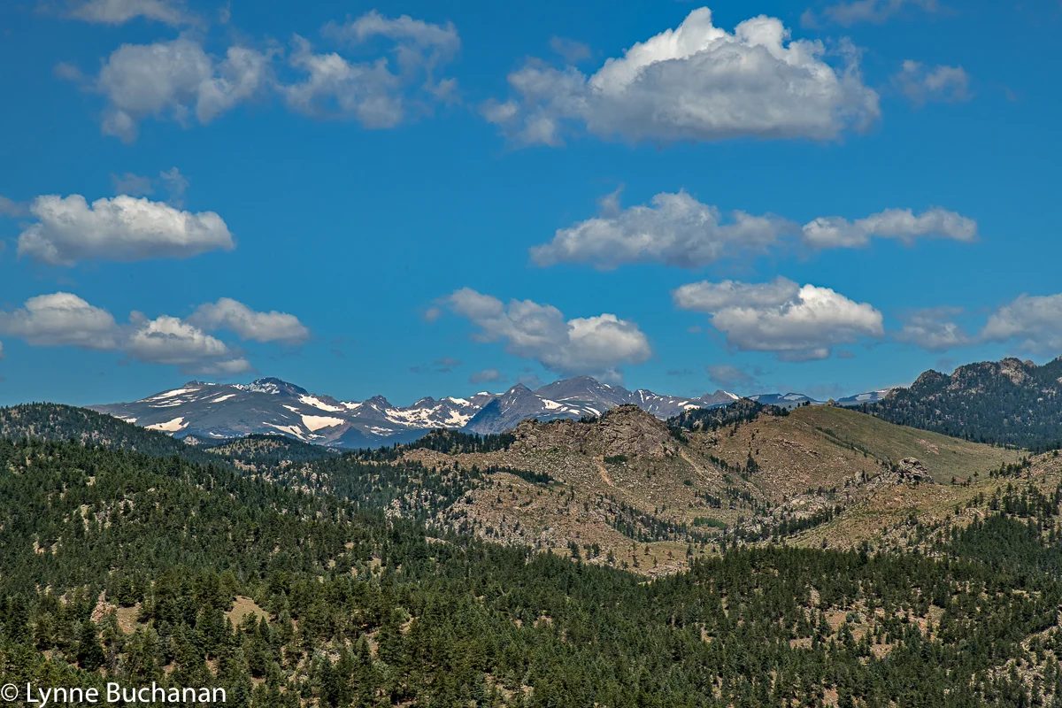 View of the Continental Divide from the Rattlesnake Gulch Trail