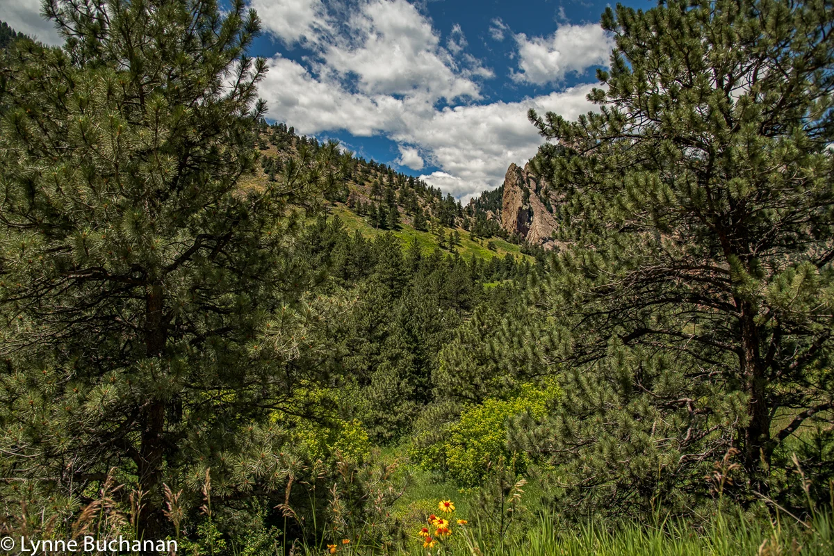 Eldorado Canyon View from the Fowler Trail