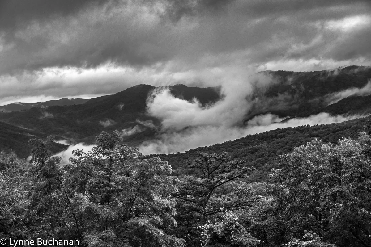 Blue Ridge Mountains with Misty Skies from Wild Acres