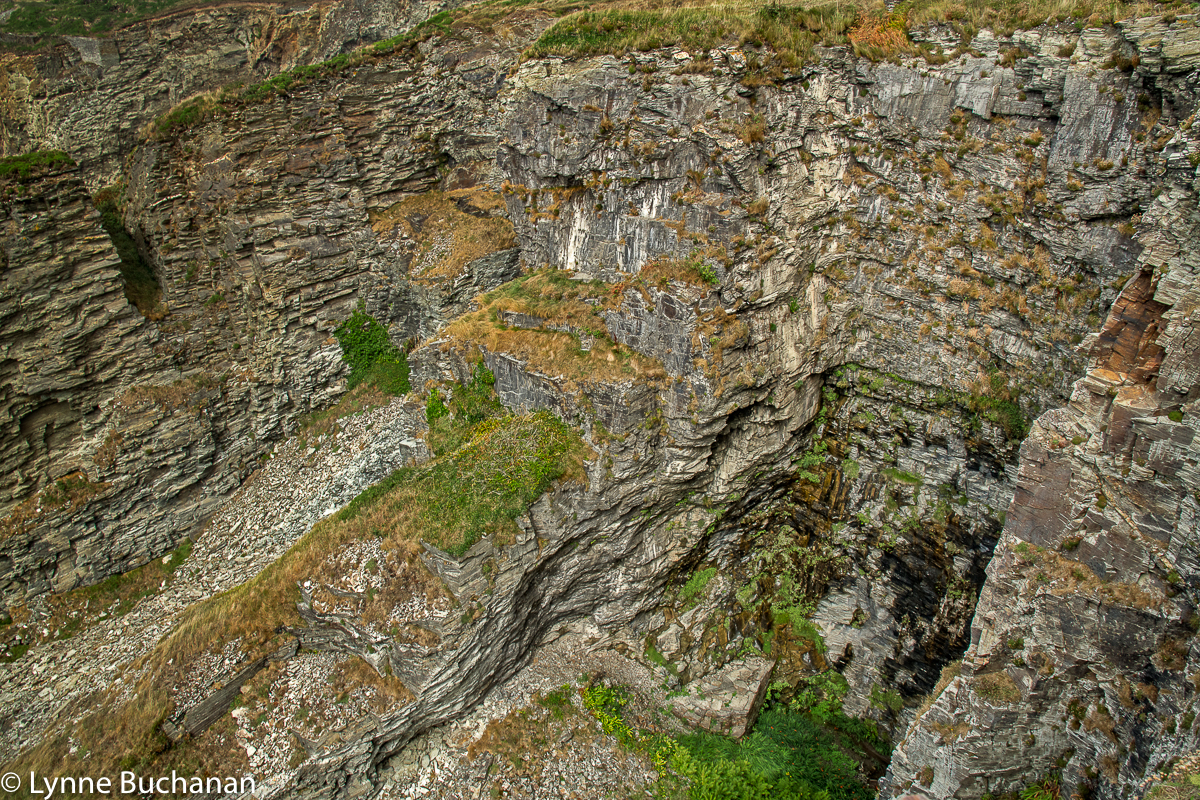 Tintagel Cliffs