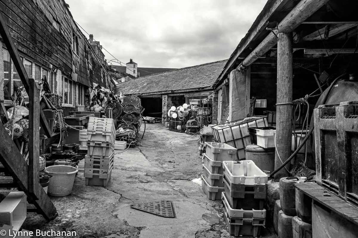 Behind the Fish Restaurants, Port Isaac