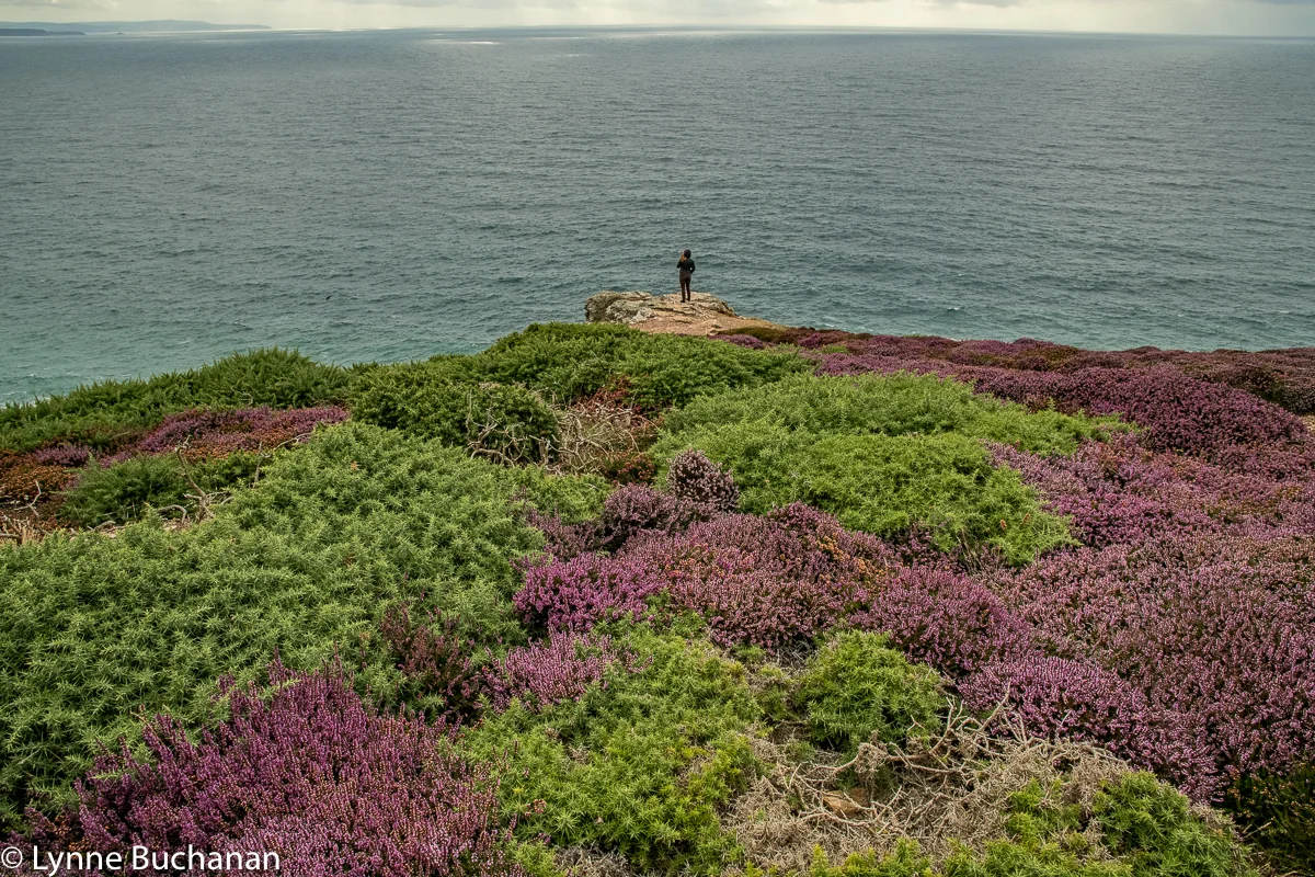 St Agnes Head, Looking out to Sea