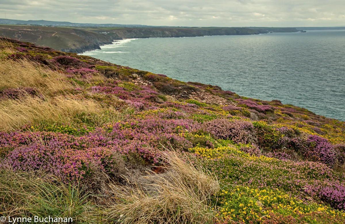 St Agnes Head Coastline