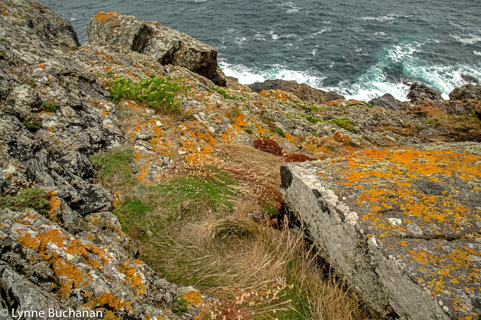 Gurnard’s Head Ruins
