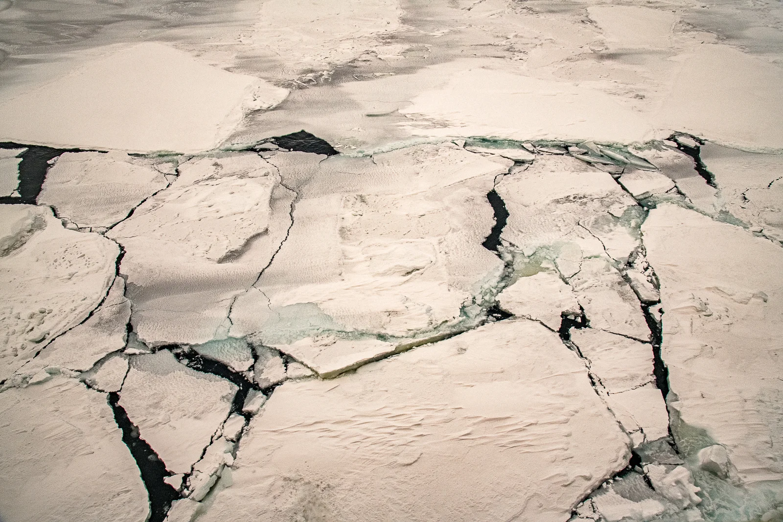 Antarctic Sea Ice Abstraction, Thinning Seasonal Ice