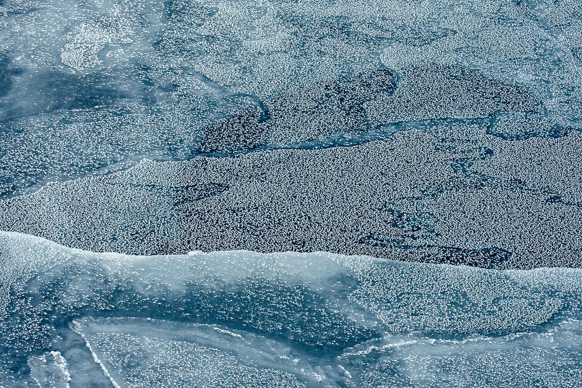 Antarctic Sea Ice Flowers and Overlapping Layers