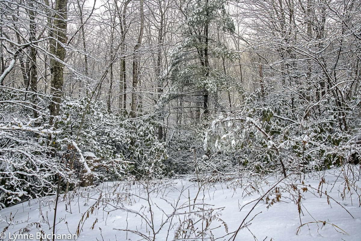 A Secret Path