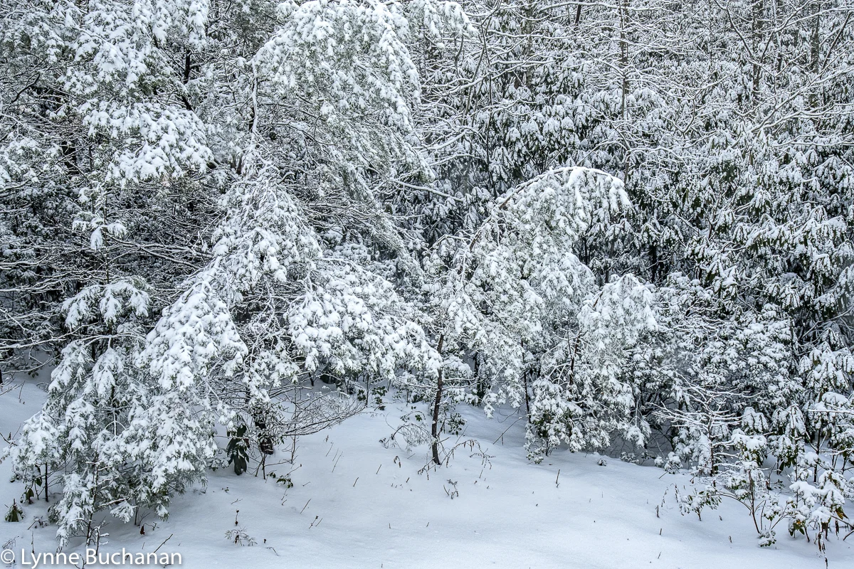 Sheltered