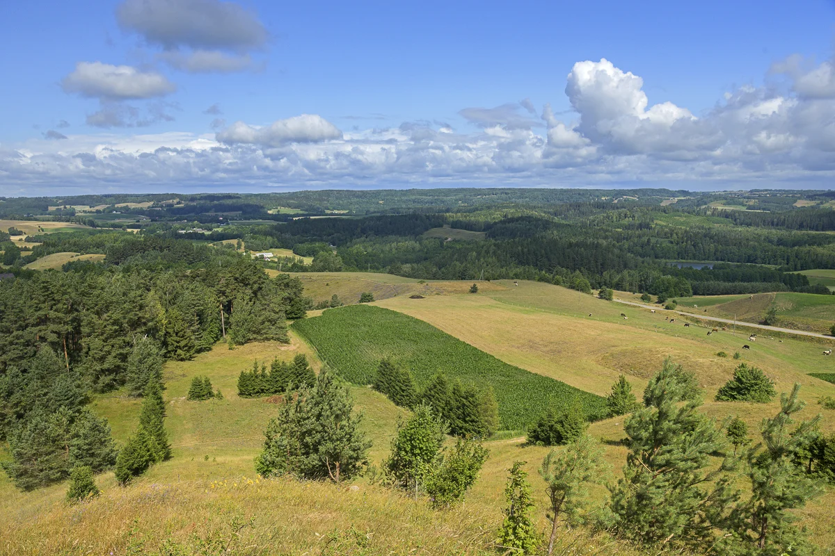 View from Cisowa Mountain