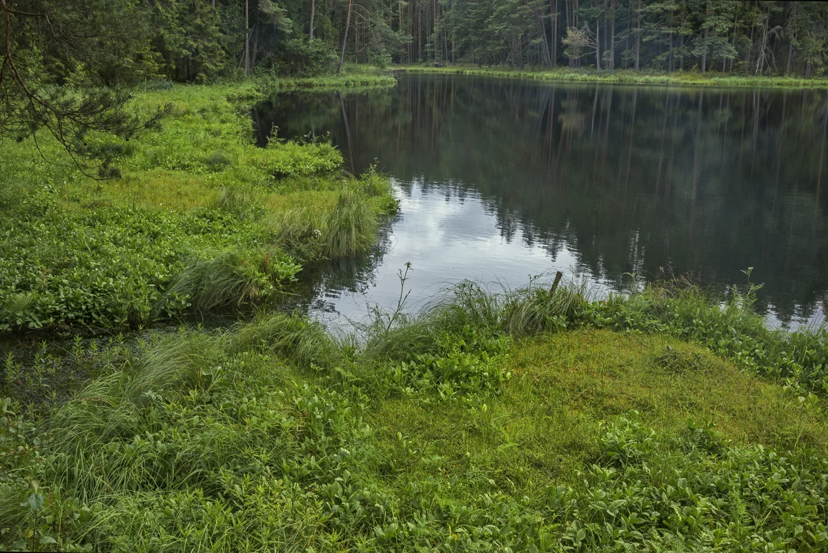 Suchar IV Lake, Wigry National Park