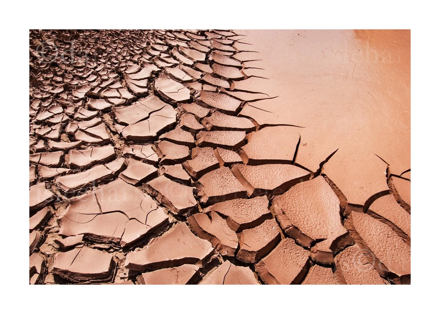 Drying Mud Puddle