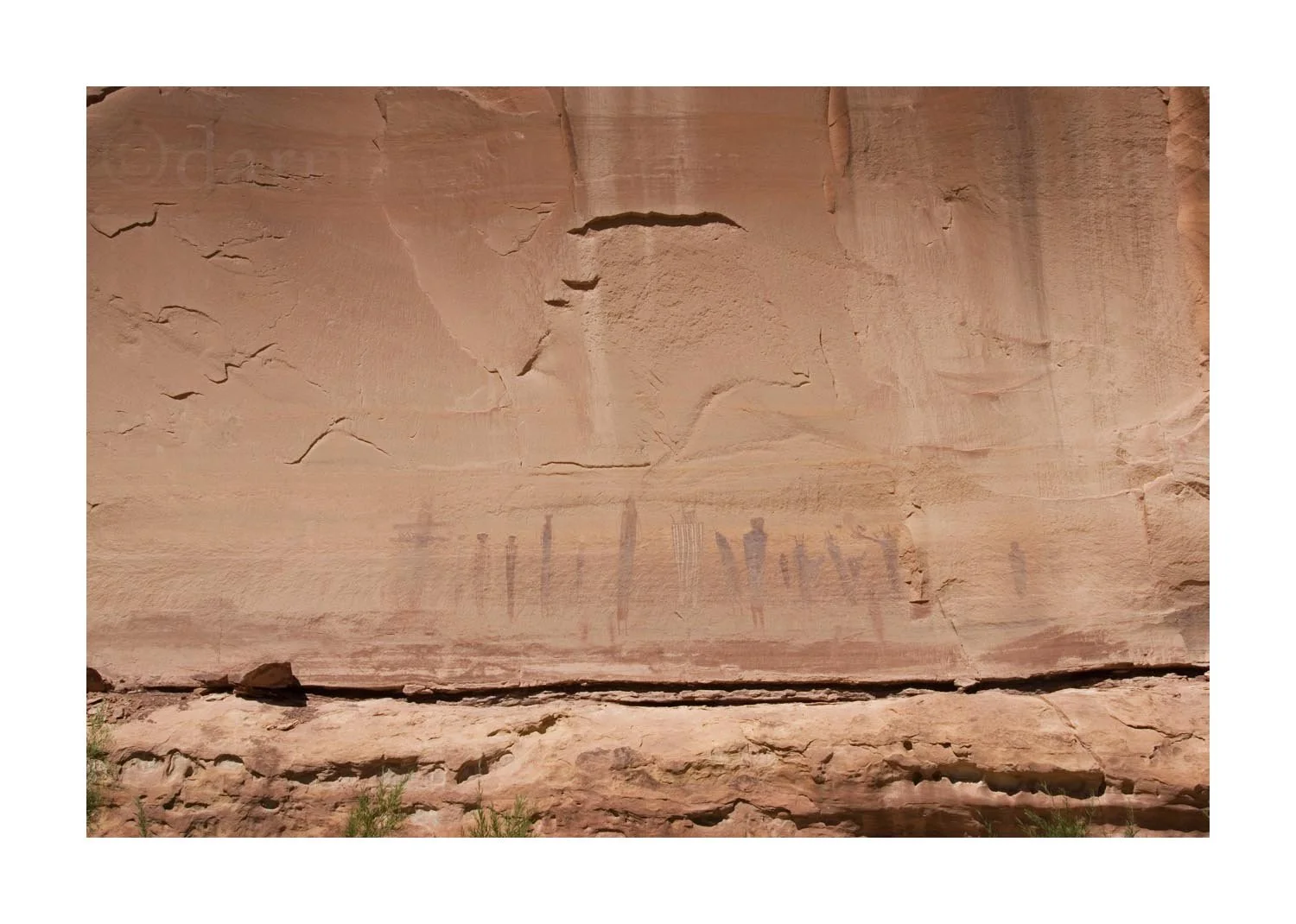 "The Harvest" Rock Painting