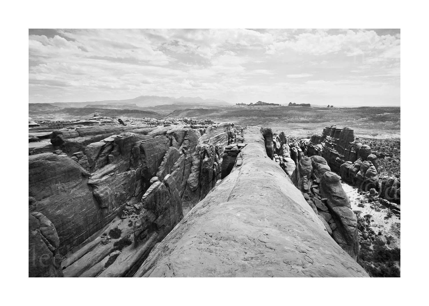 Rock Fin View