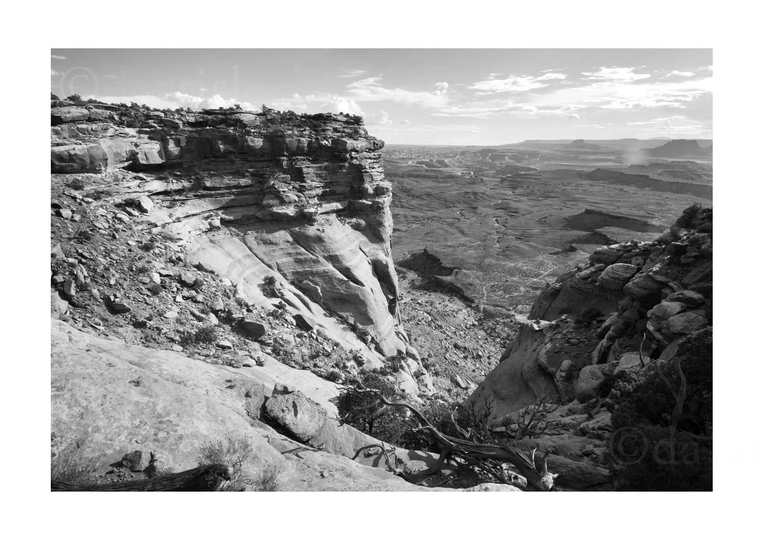 Canyon View