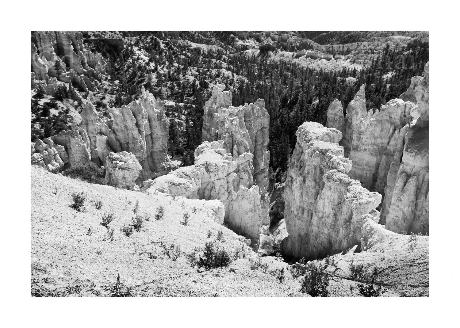 Rock Fins