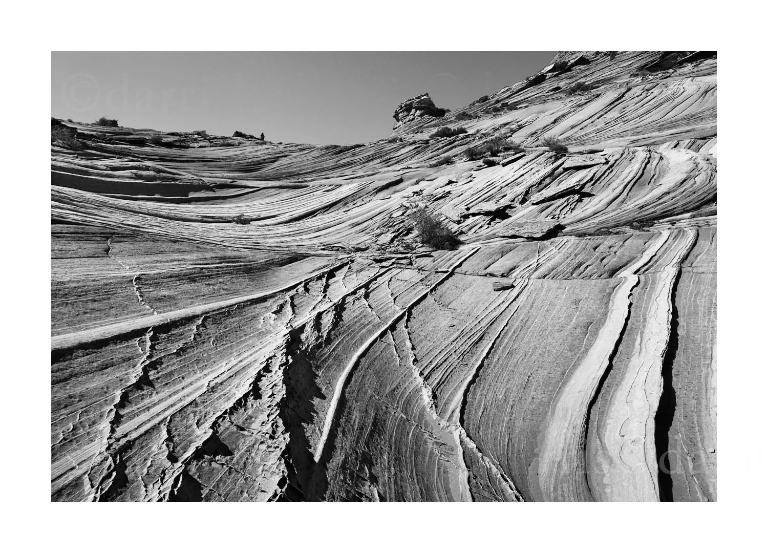 Rock Detail