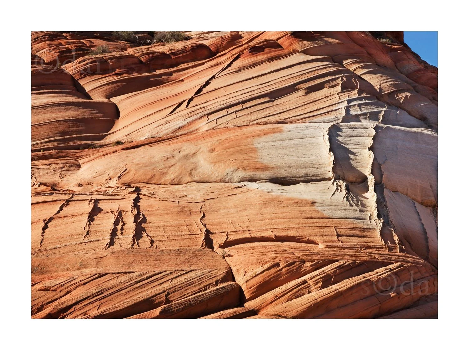Rock Detail