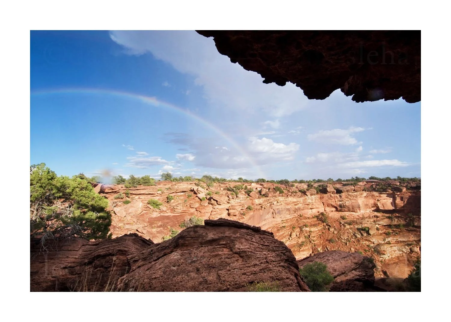 Rainbow View