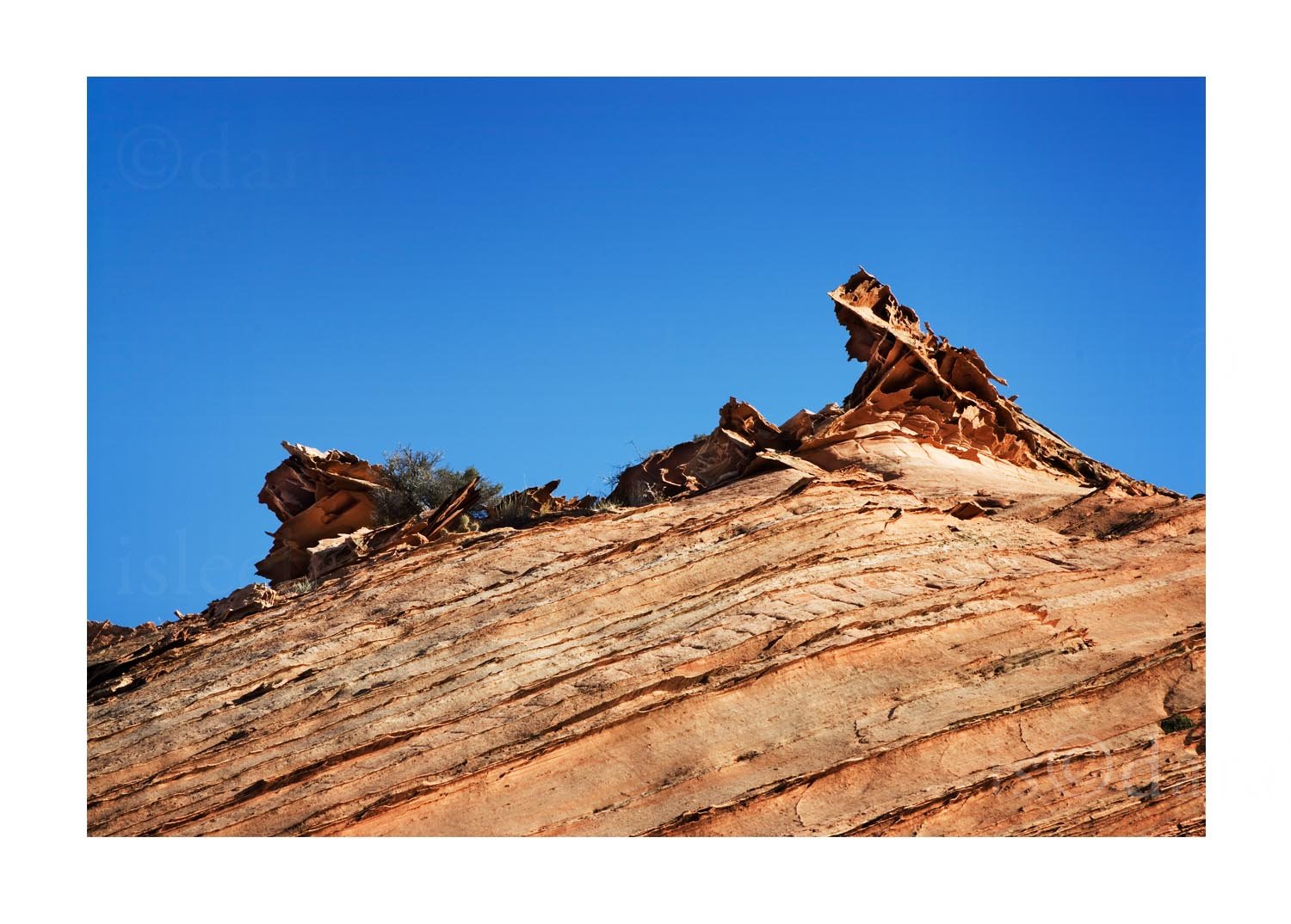 Rock Detail