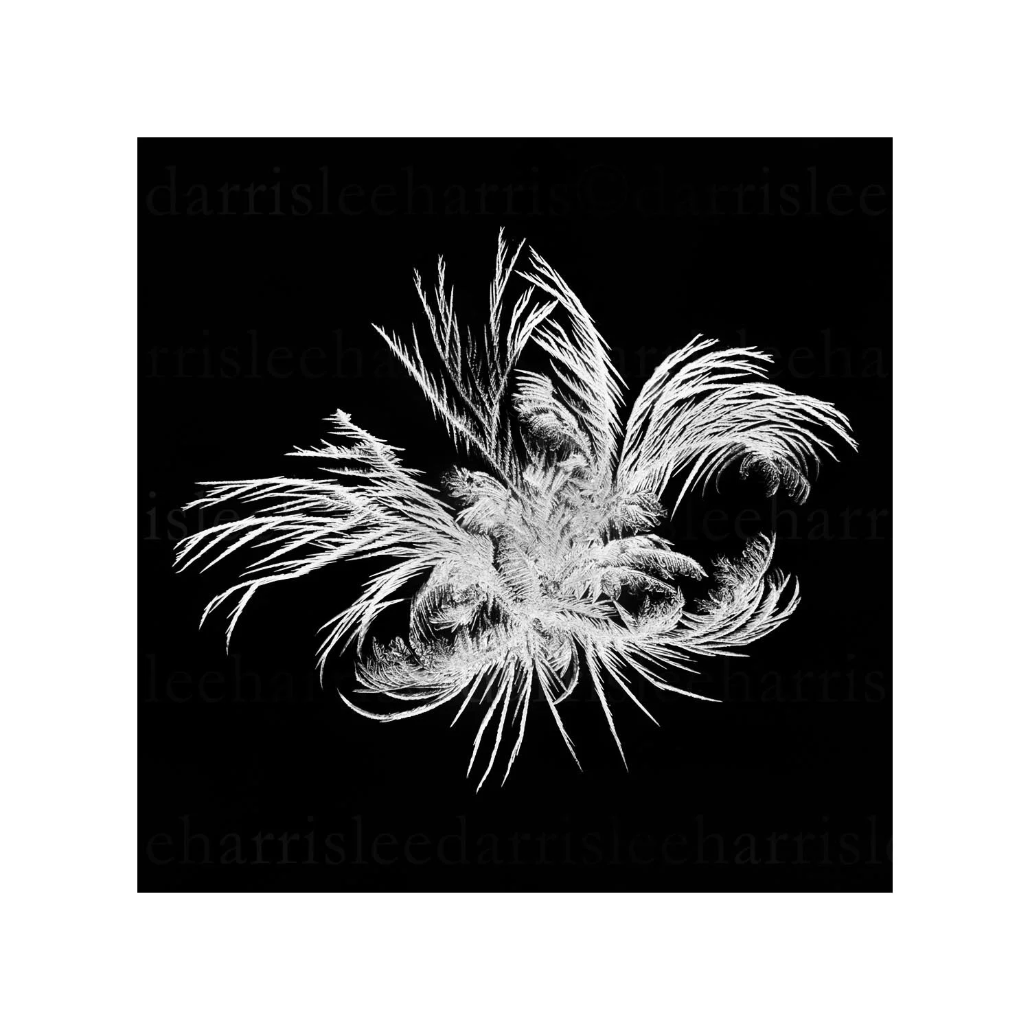 snowflake #1