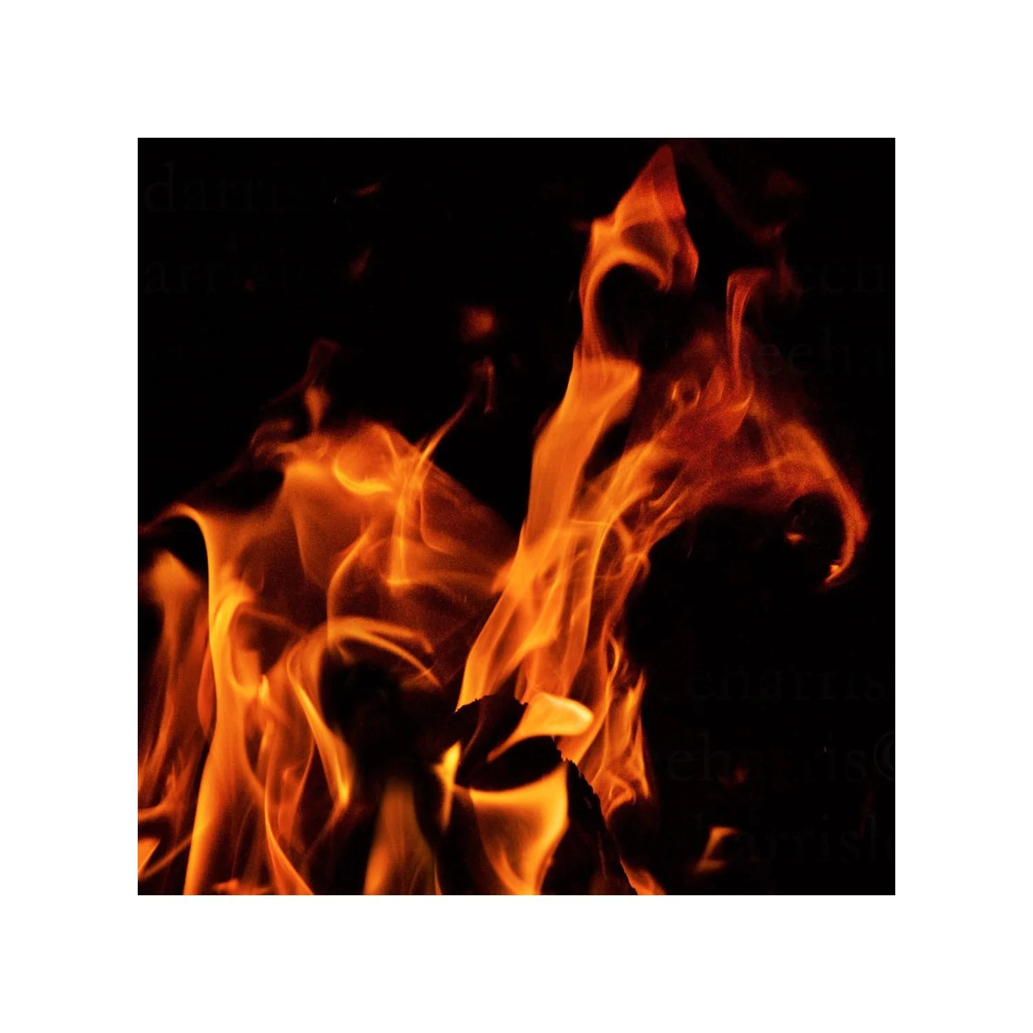 fire #2