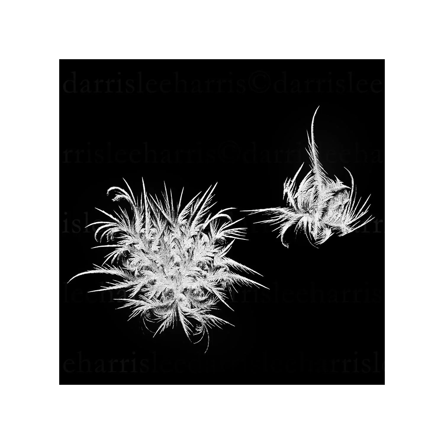 snowflake #4