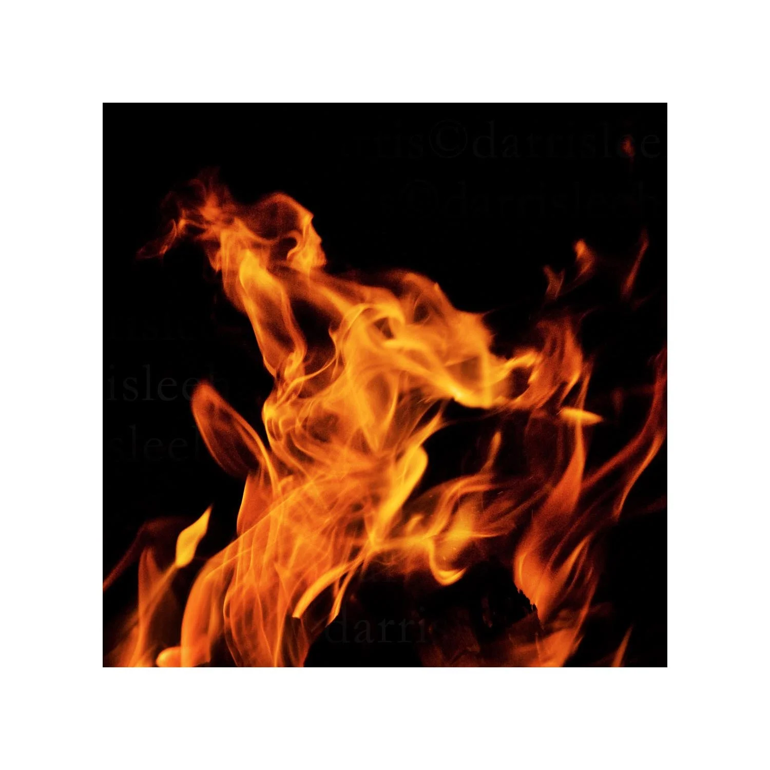 fire #5