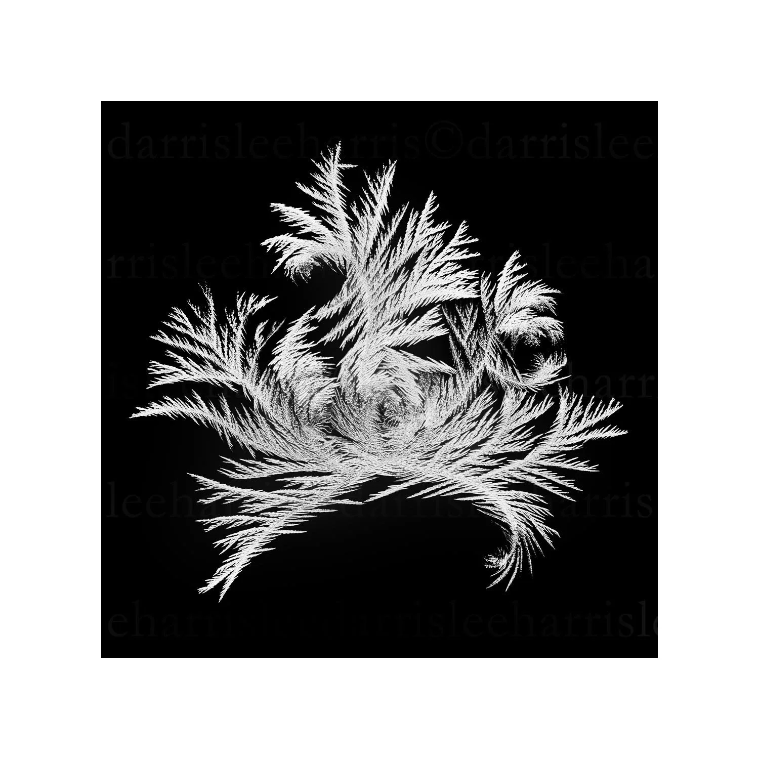 snowflake #5