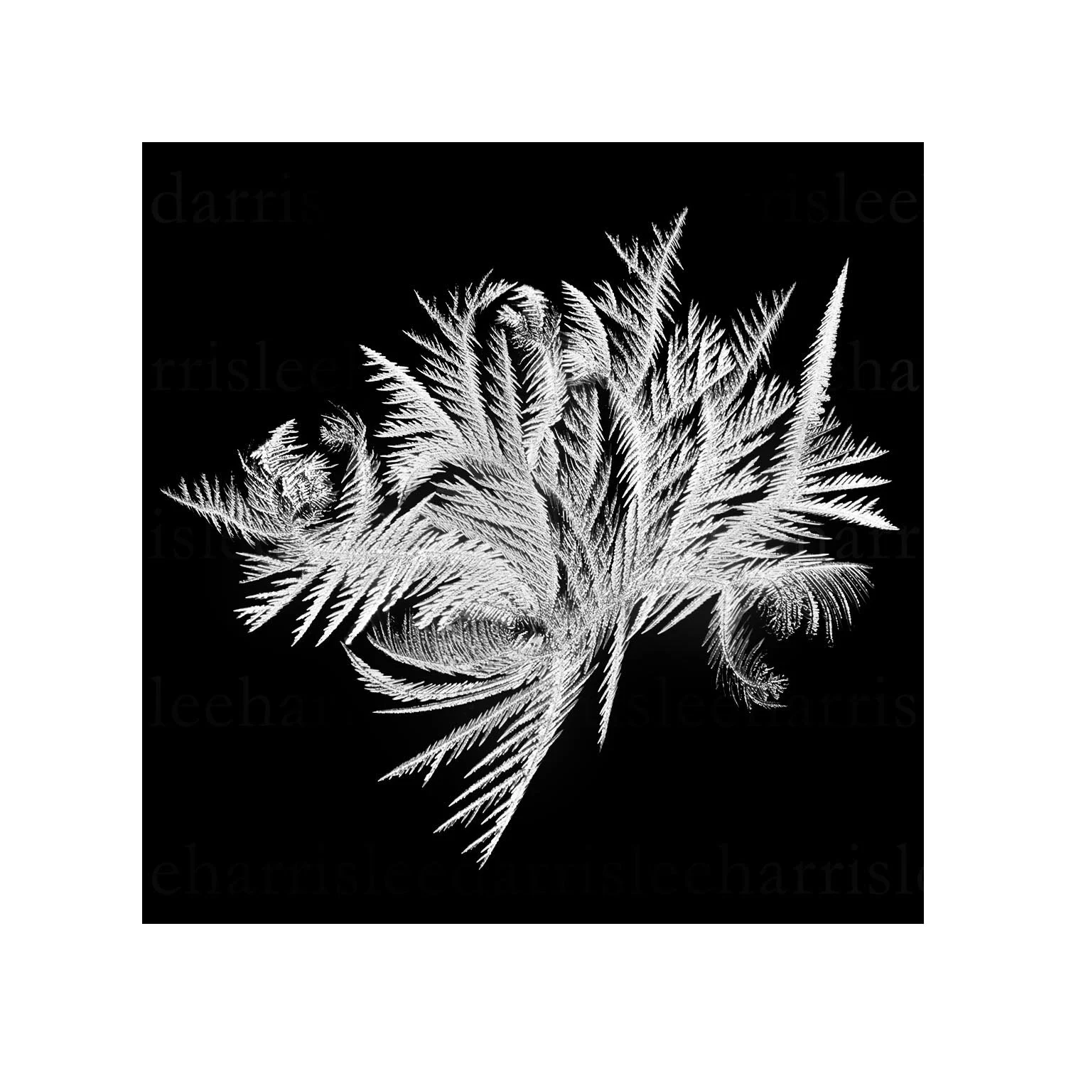 snowflake #6