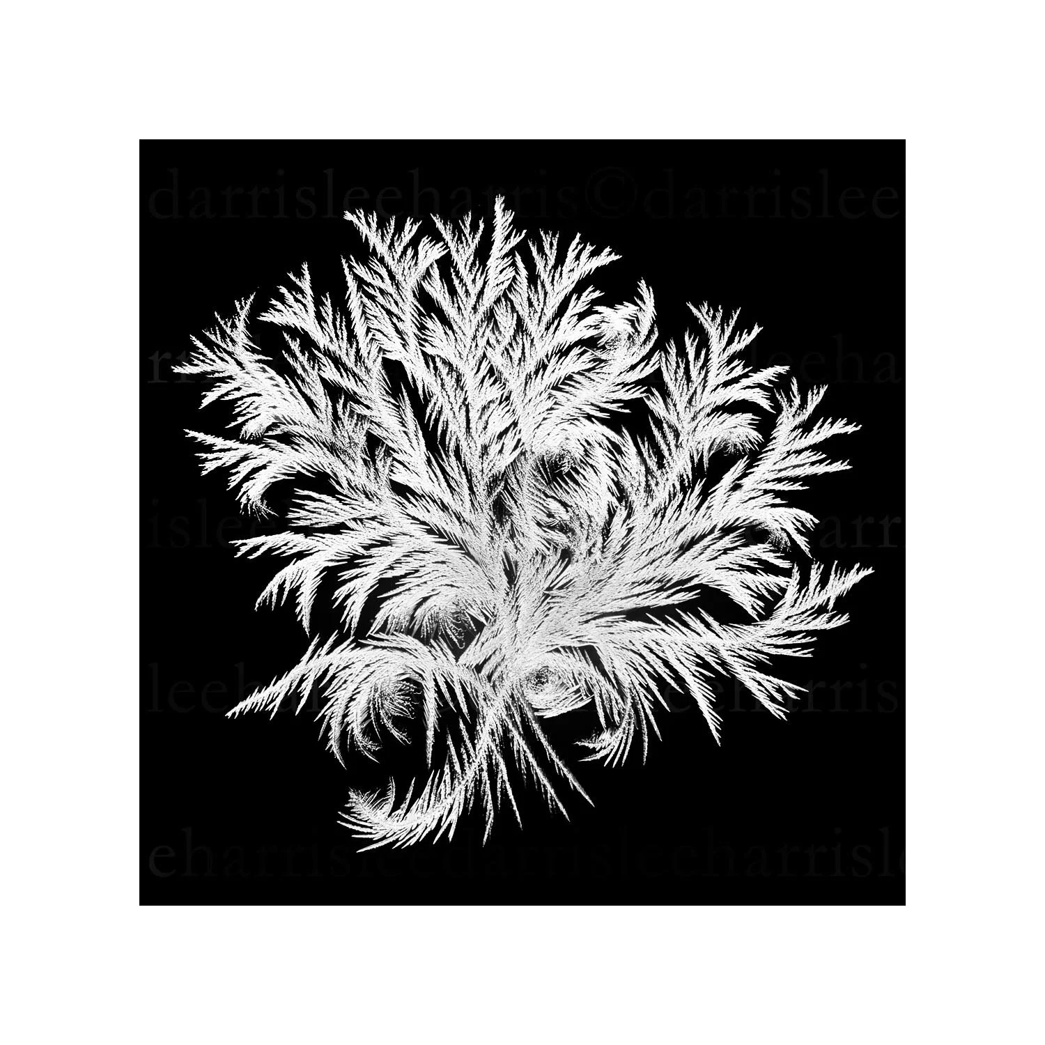 snowflake #7