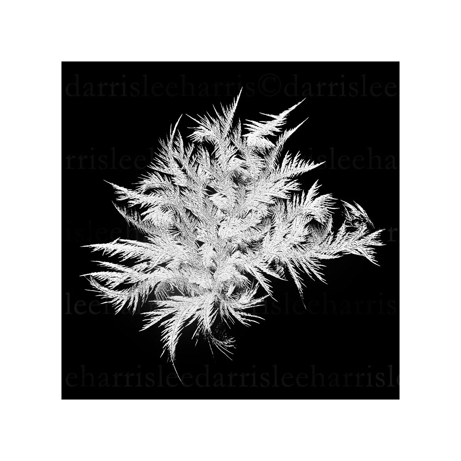 snowflake #9
