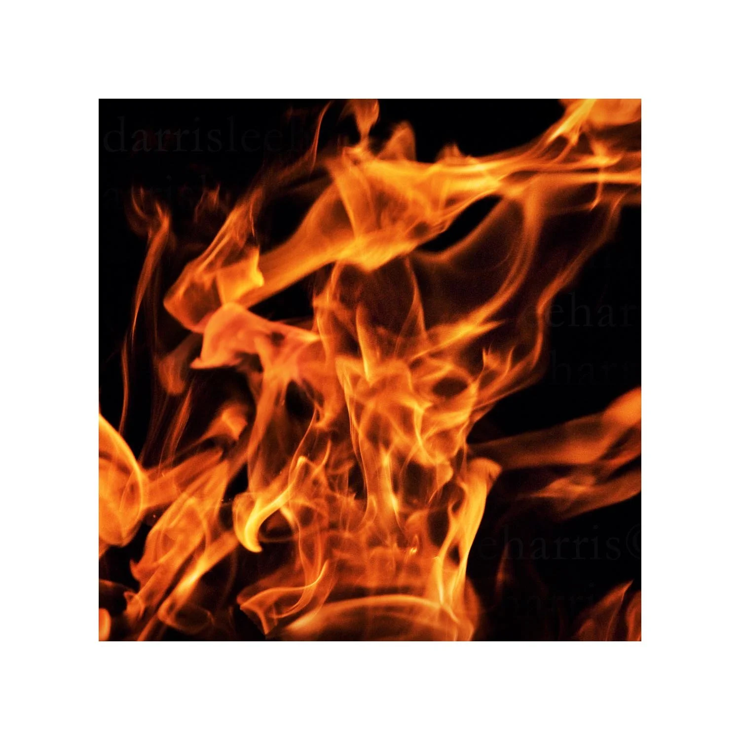 fire #10