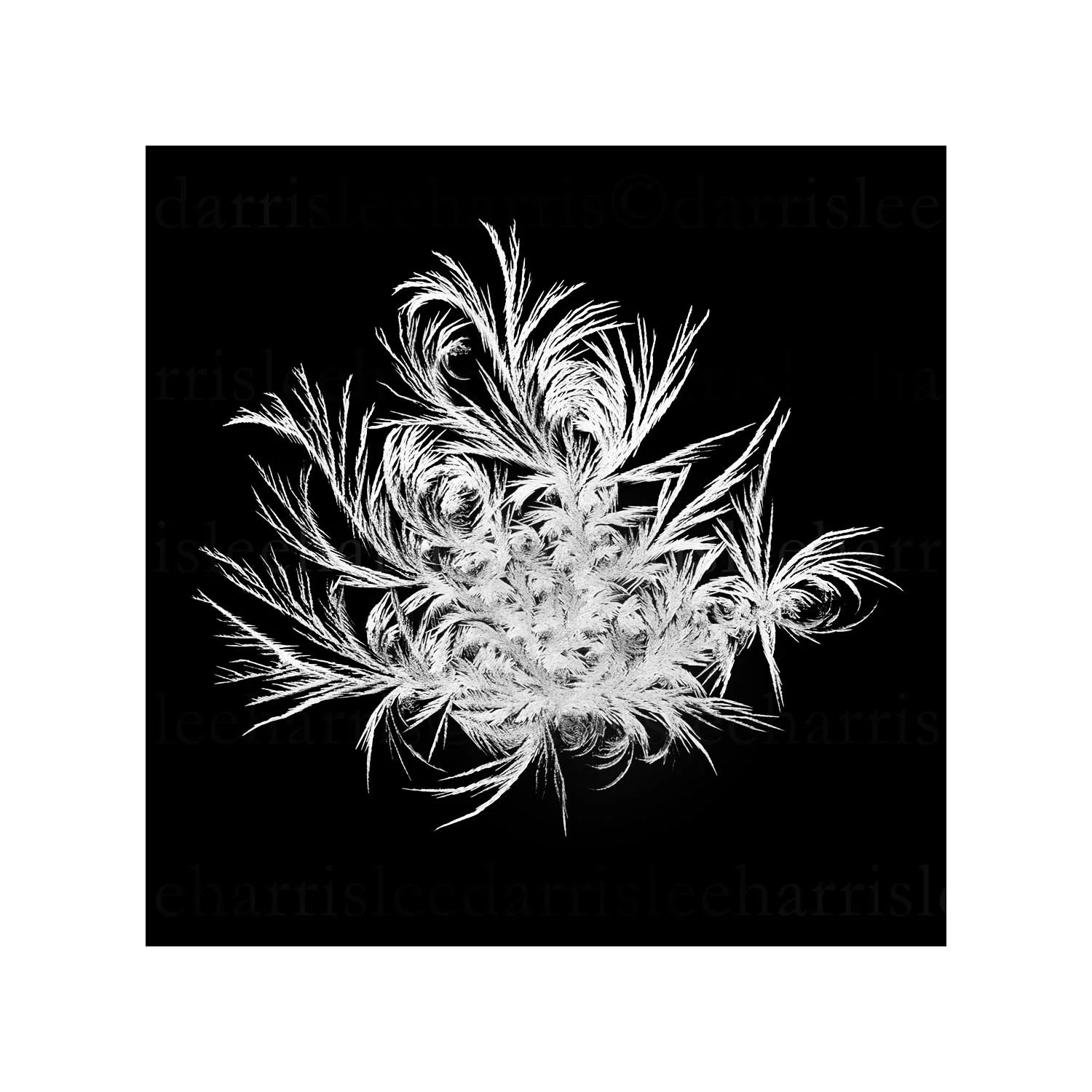 snowflake #17