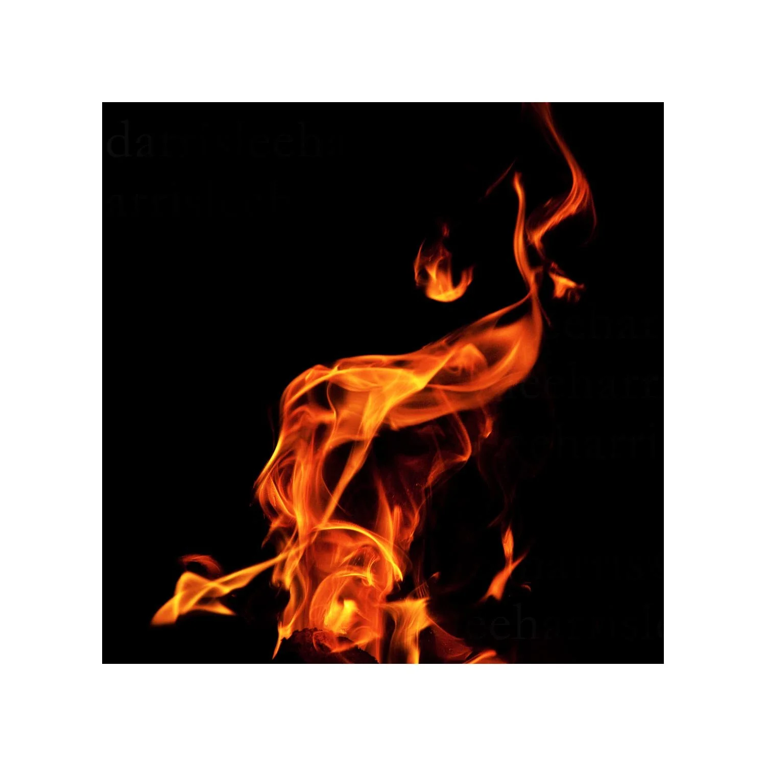 fire #13