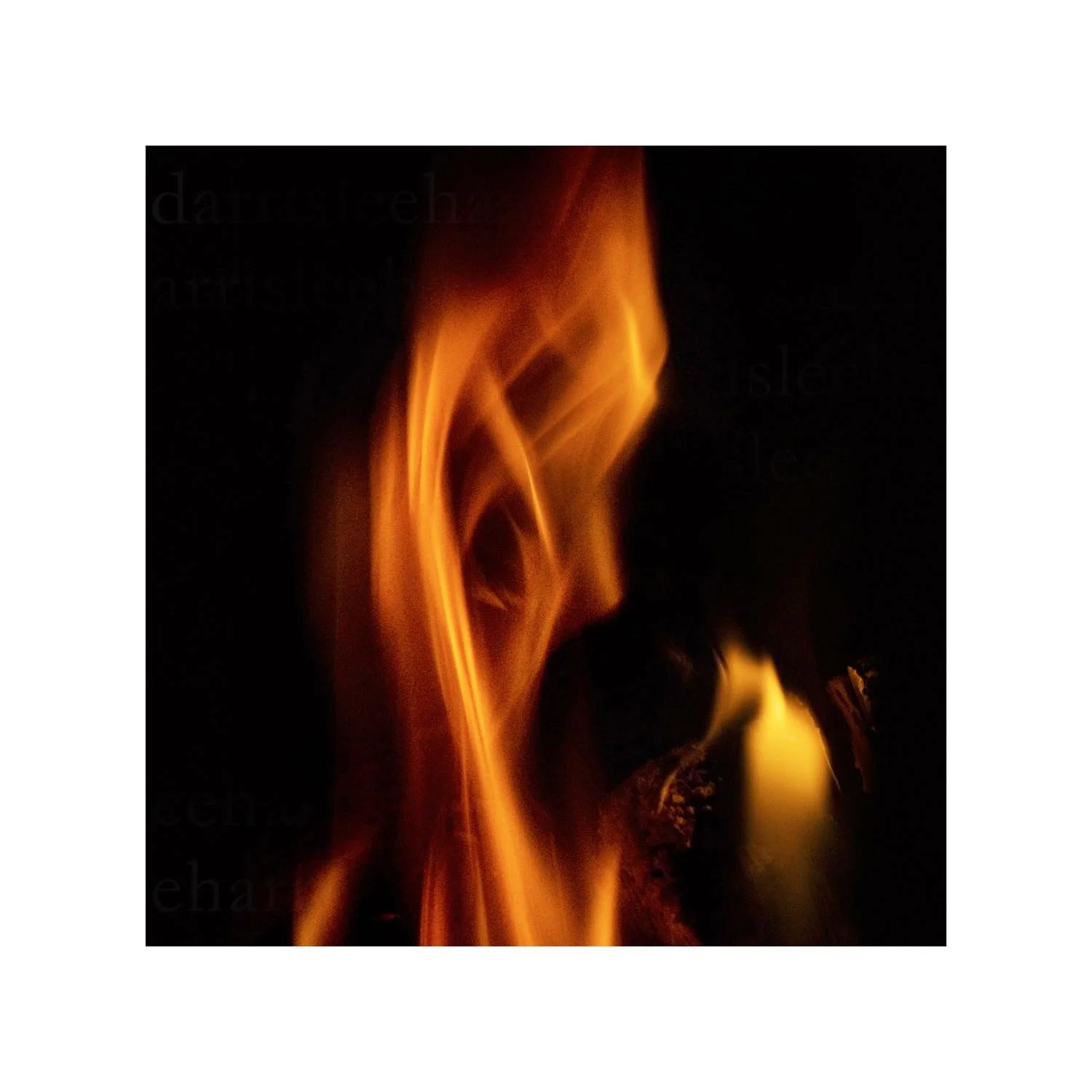 fire #15