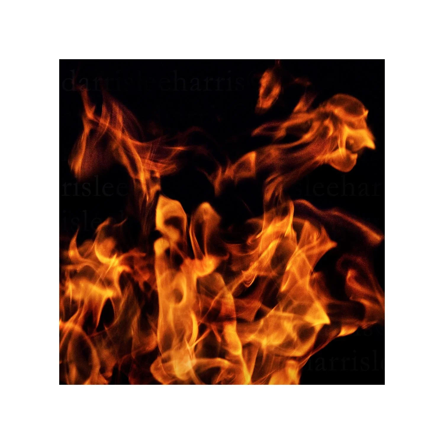 fire #20