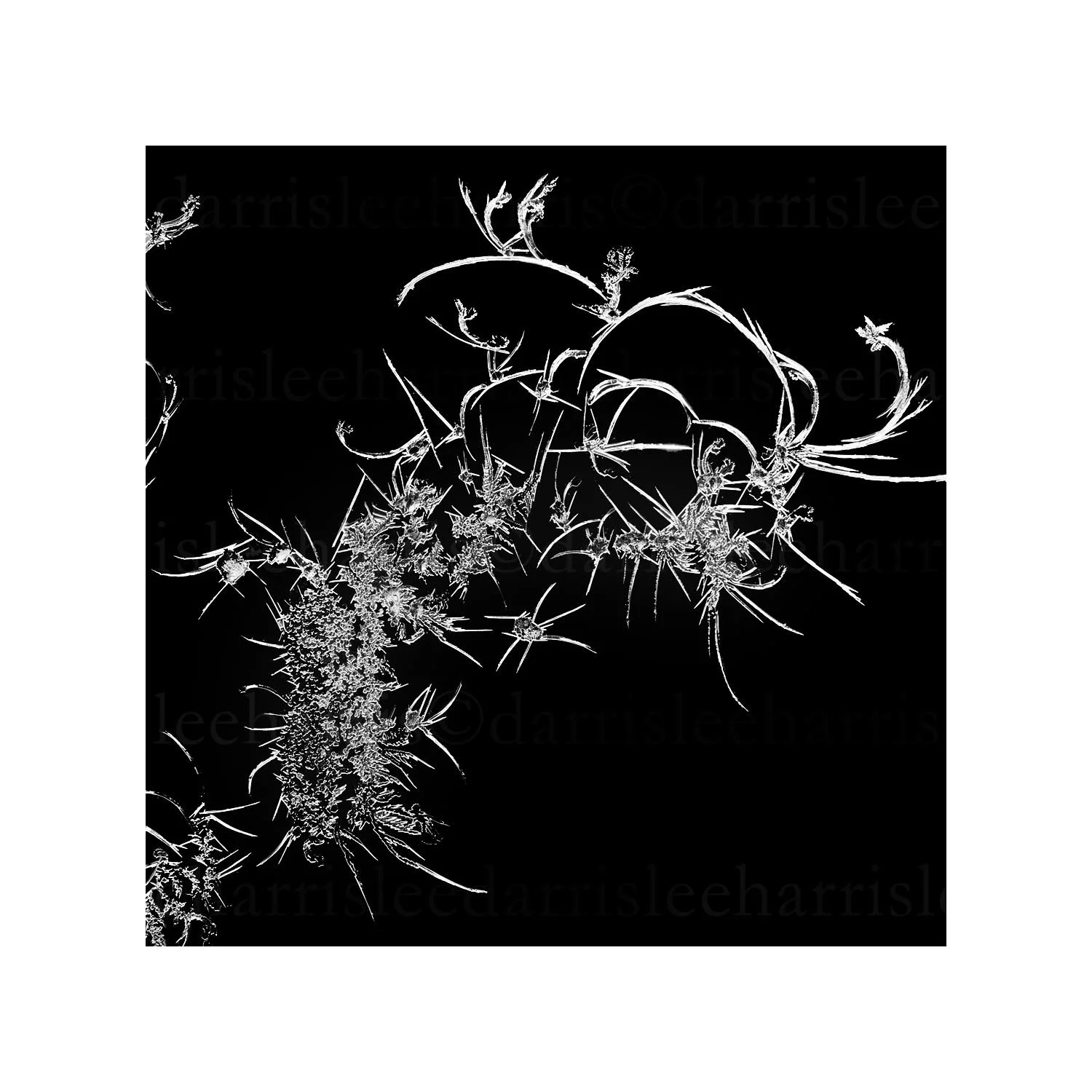 snowflake #20