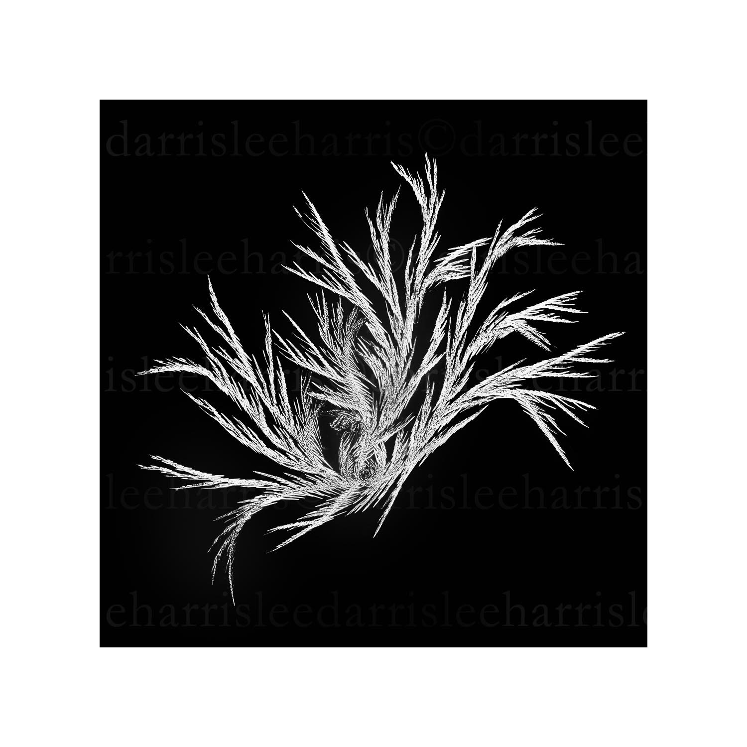 snowflake #22