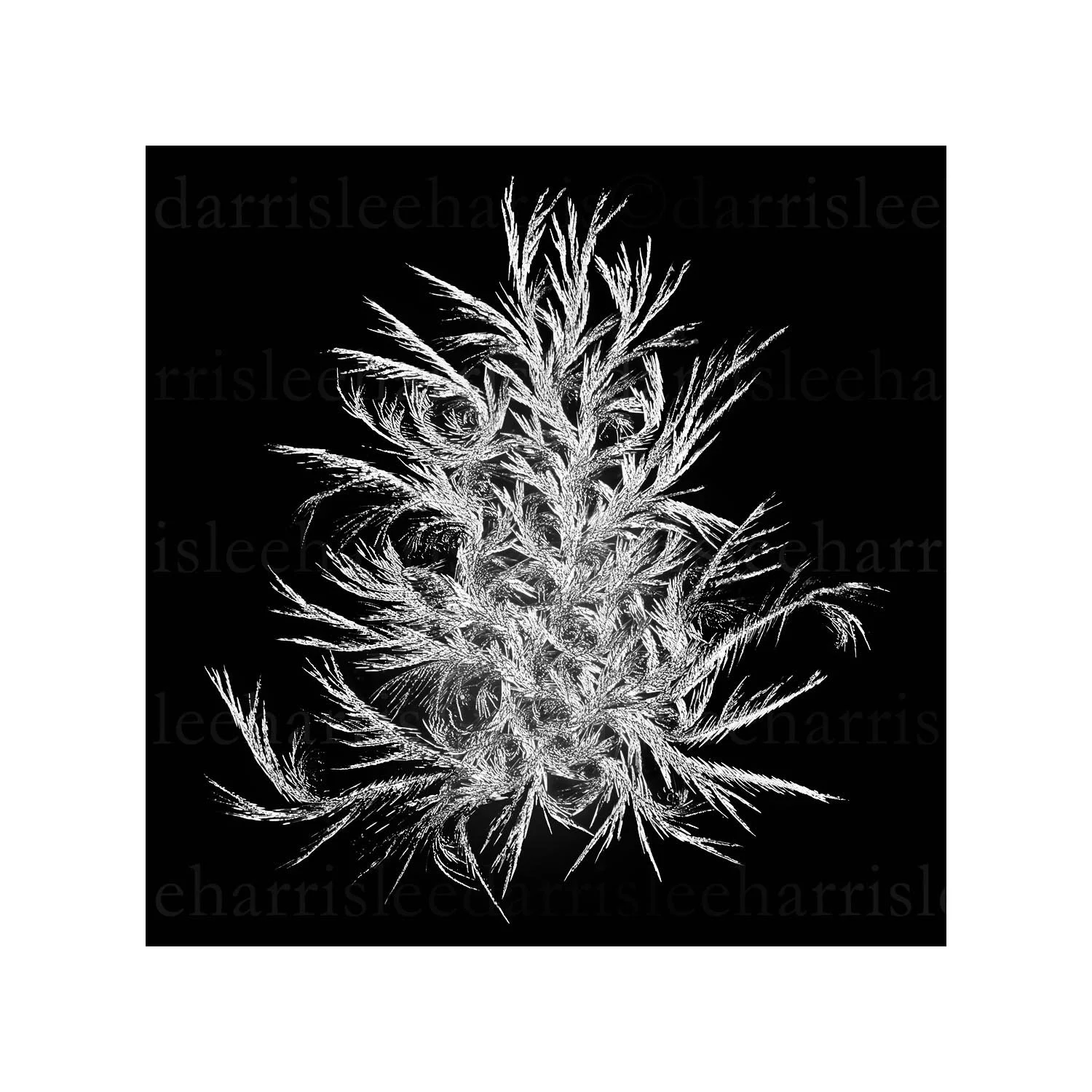 snowflake #23