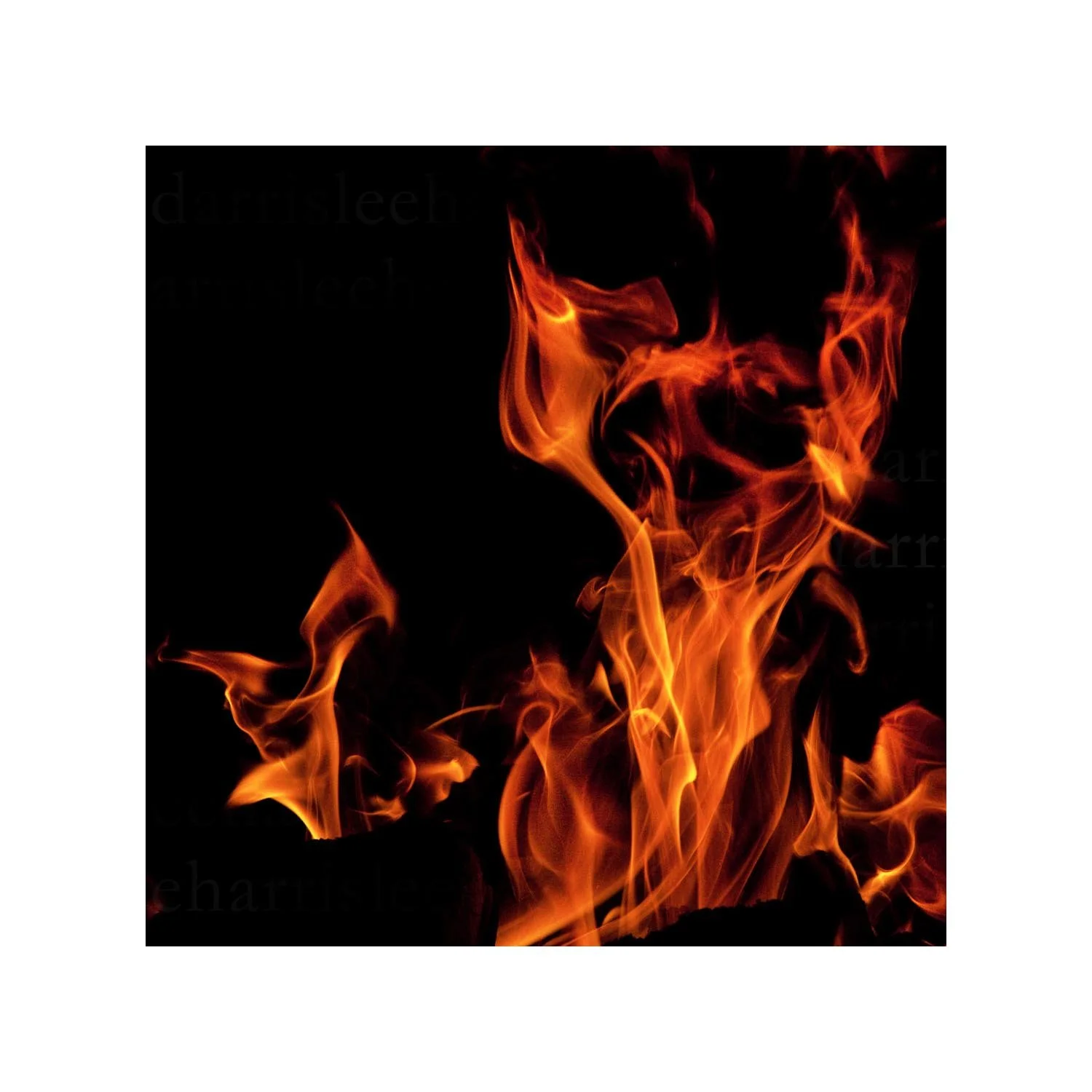 fire #24