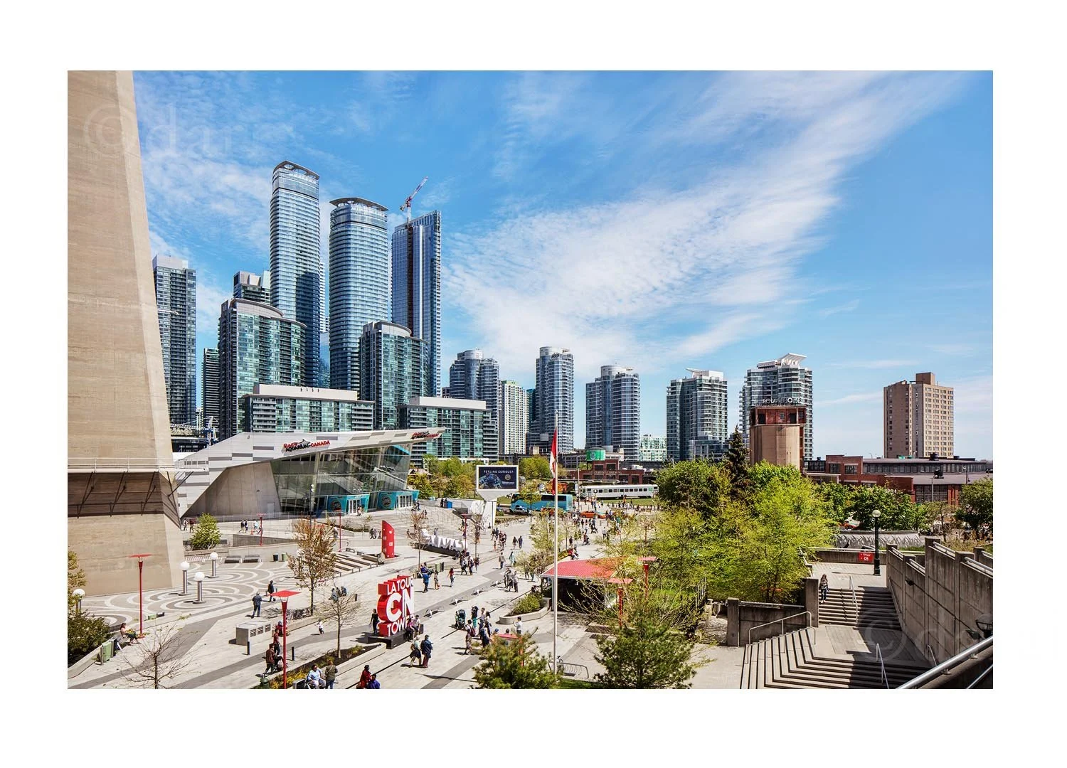 Toronto Skyline