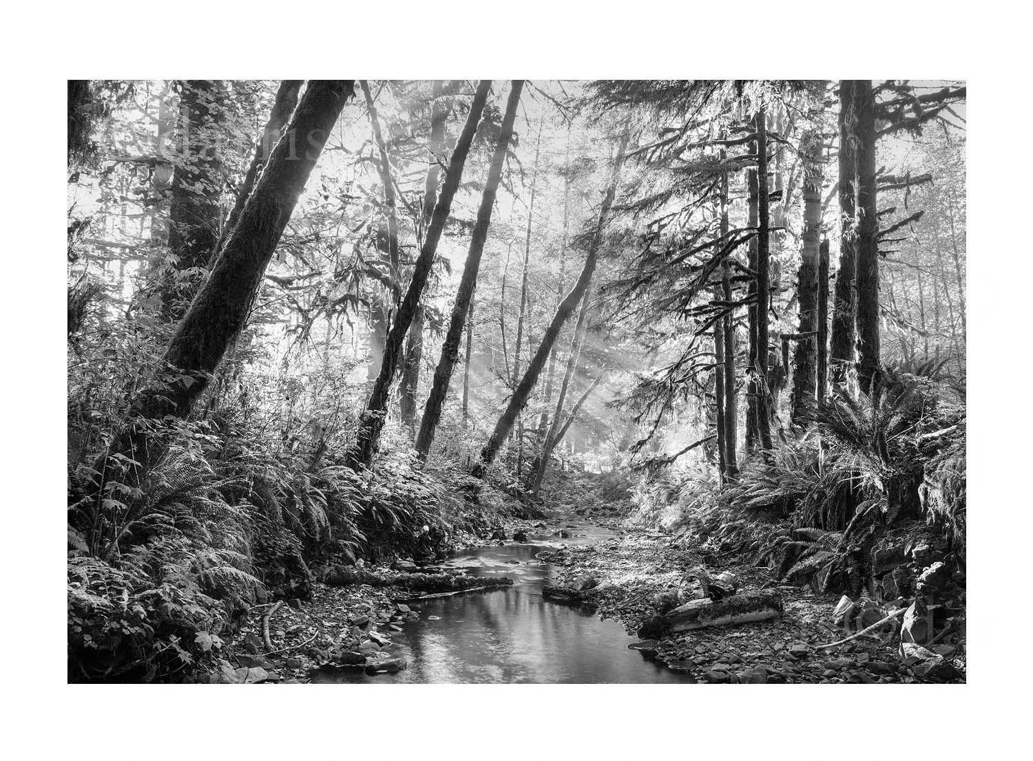 Saddle Mountain