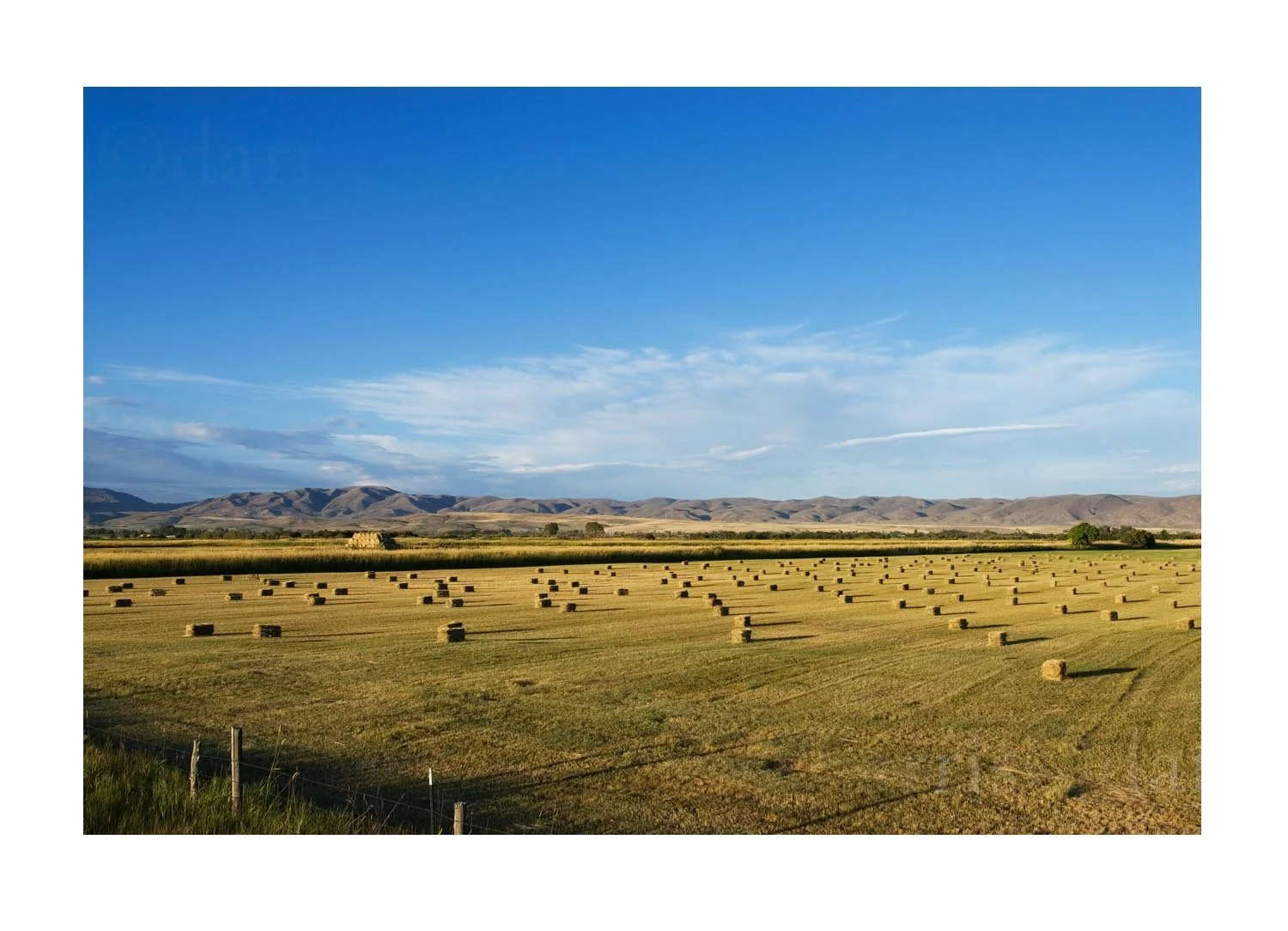 View of Fields